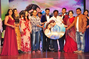 Speedunnodu Movie Audio Launch